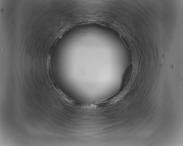 X0000087630576200705030730