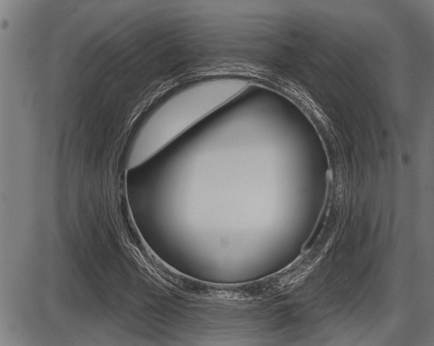 X0000087630585200705030729