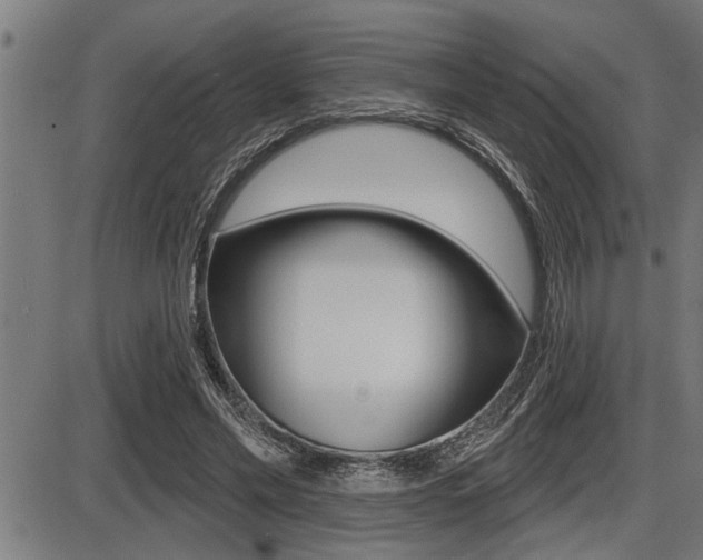 X0000087630589200705030729