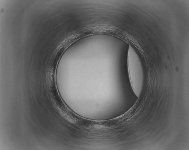 X0000087630590200705030729
