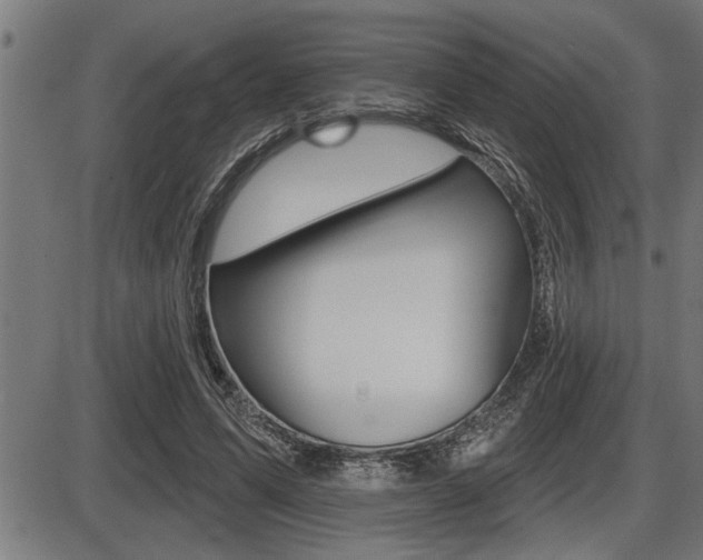 X0000087630591200705030729