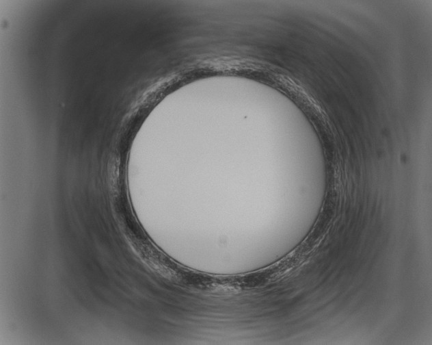 X0000087630592200705030729