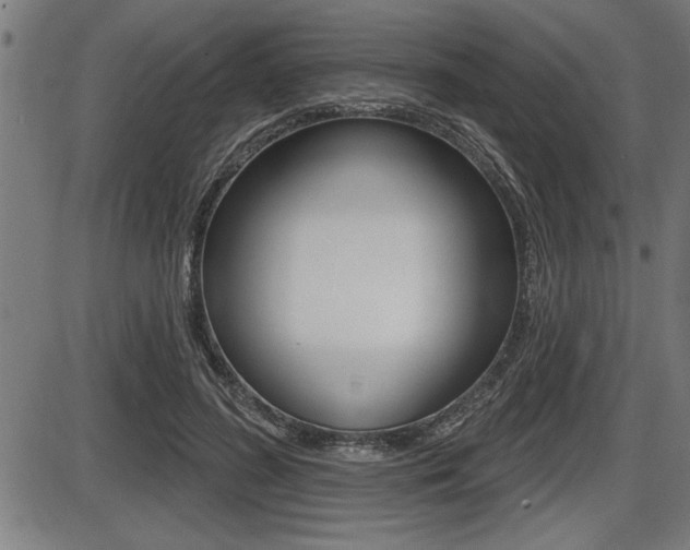 X0000087630596200705030729