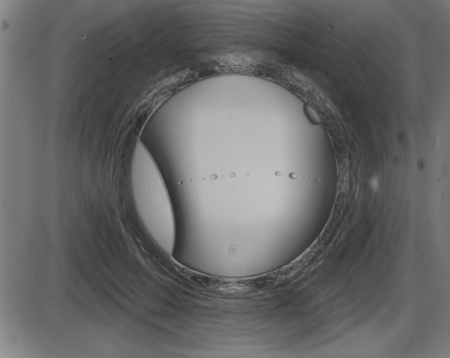 X0000087630599200705030729