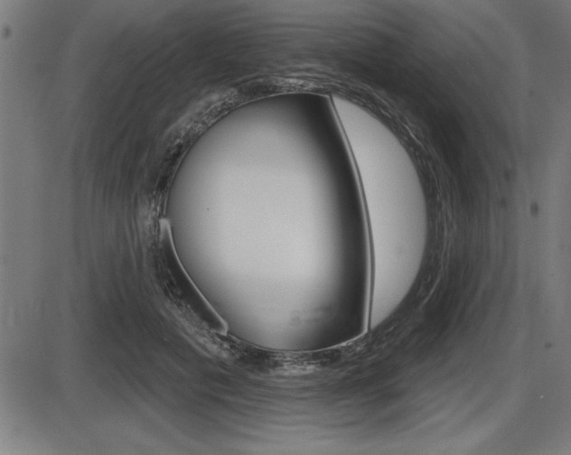 X0000087630601200705030729