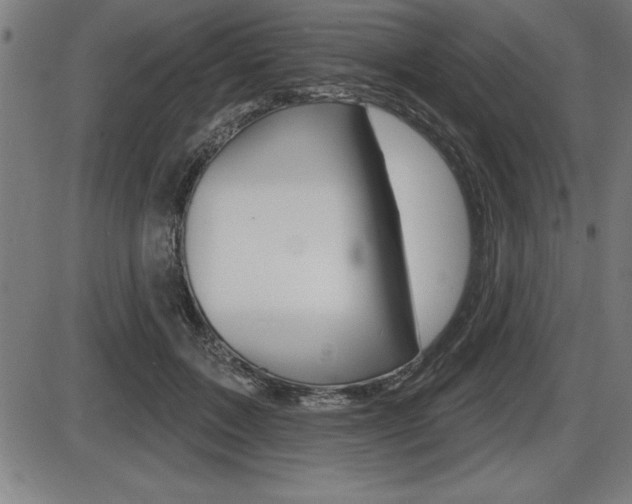 X0000087630603200705030729