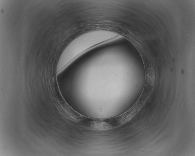 X0000087630605200705030729