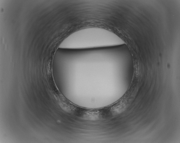 X0000087630606200705030729