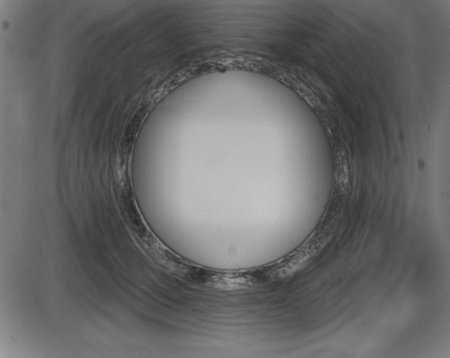X0000087630607200705030729