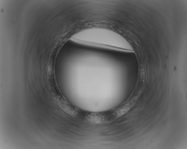 X0000087630608200705030729