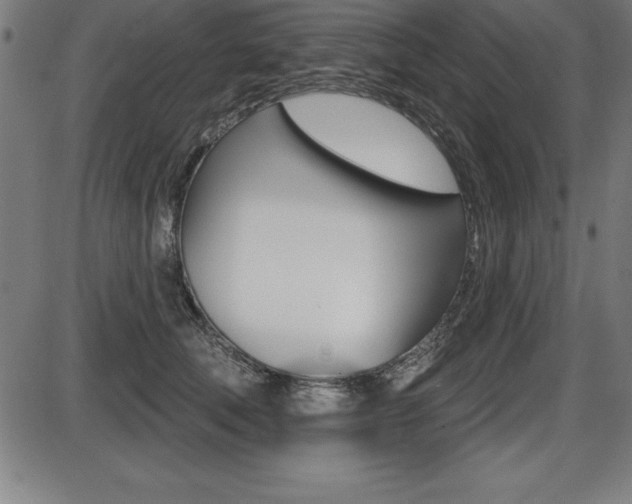 X0000087630610200705030729