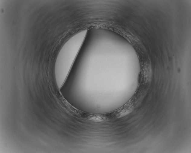 X0000087630611200705030729