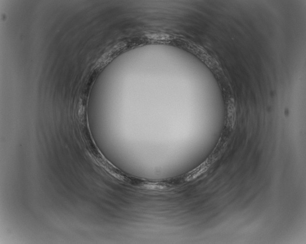 X0000087630614200705030729