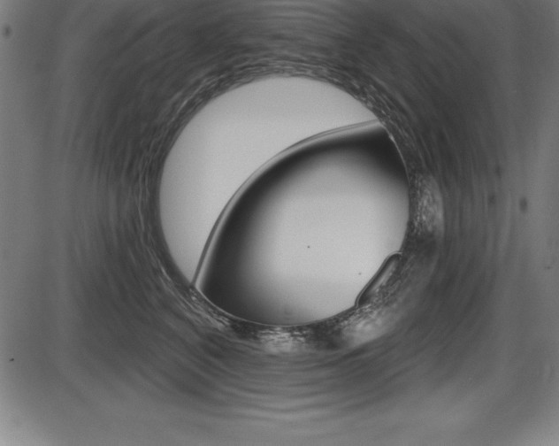 X0000087630616200705030729