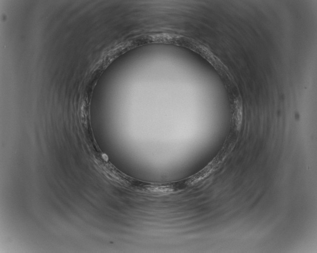 X0000087630619200705030729