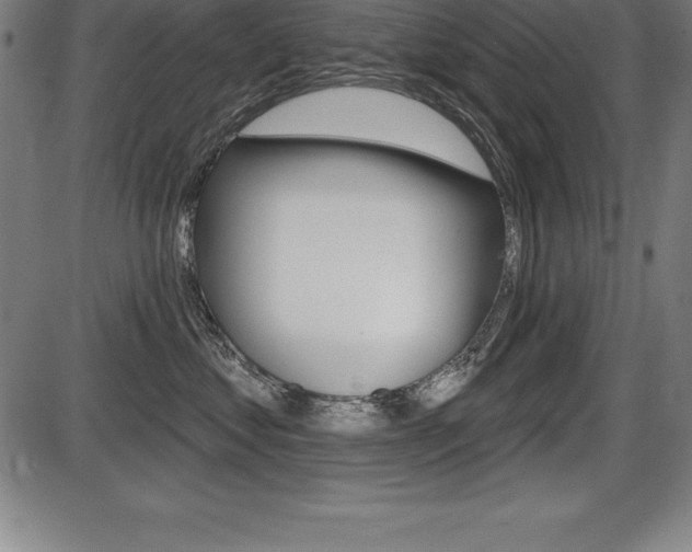 X0000087630621200705030729