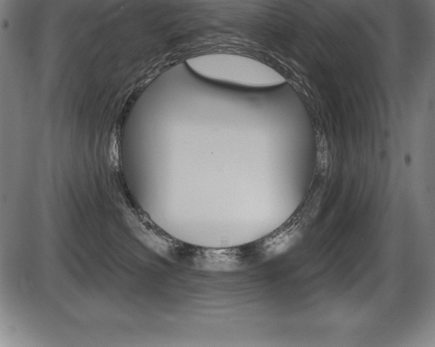 X0000087630622200705030729
