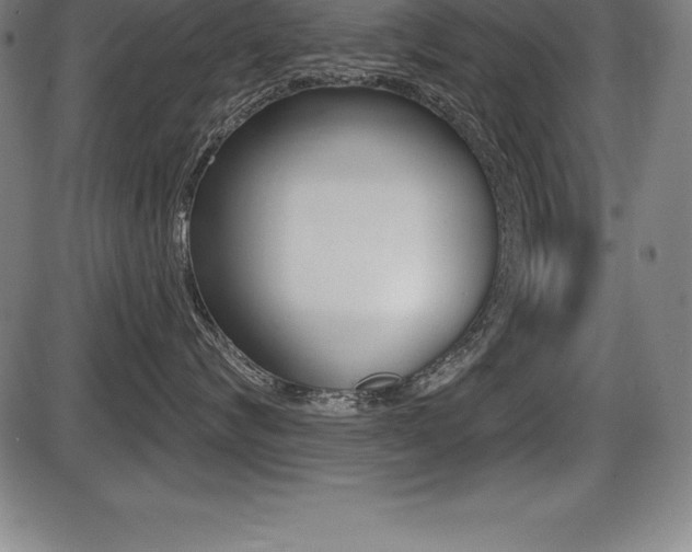 X0000087630624200705030729