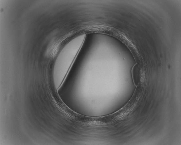 X0000087630637200705030728