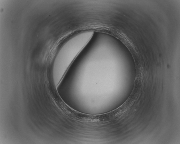 X0000087630640200705030728