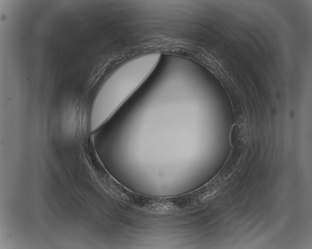 X0000087630642200705030728