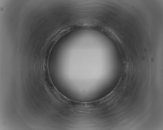 X0000087630643200705030728