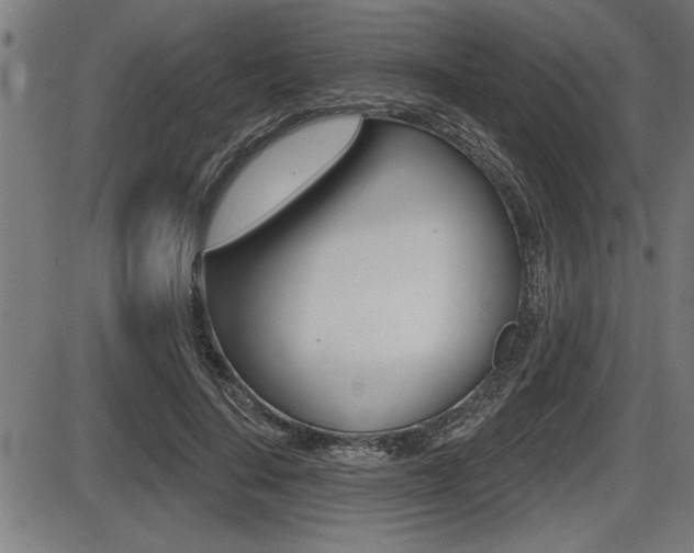 X0000087630644200705030728