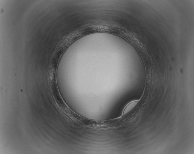 X0000087630645200705030728