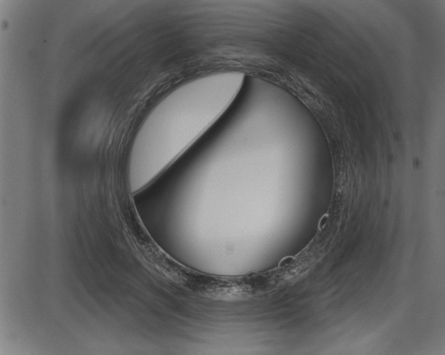 X0000087630646200705030728