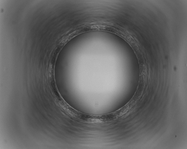 X0000087630649200705030728
