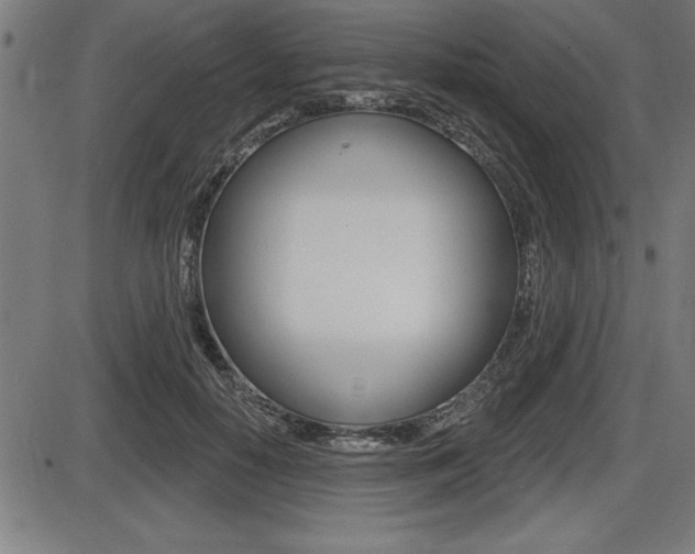 X0000087630650200705030728