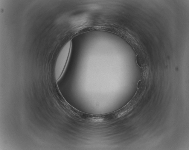 X0000087630651200705030728