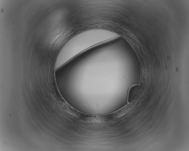 X0000087630652200705030728