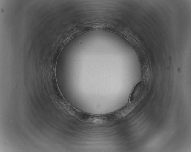 X0000087630655200705030728