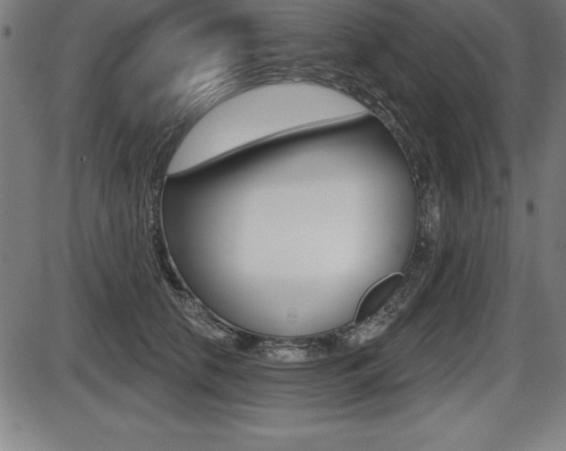 X0000087630658200705030728