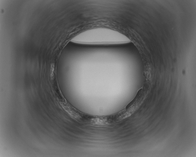 X0000087630660200705030728
