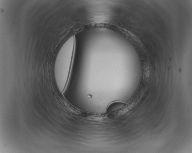 X0000087630661200705030728