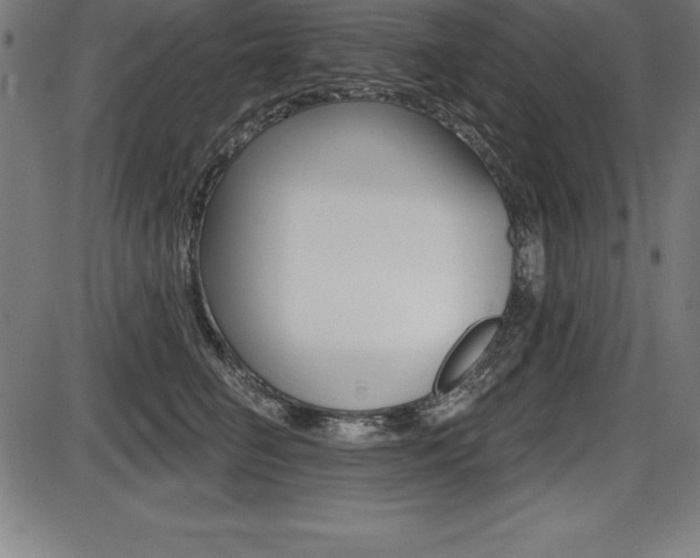 X0000087630662200705030728