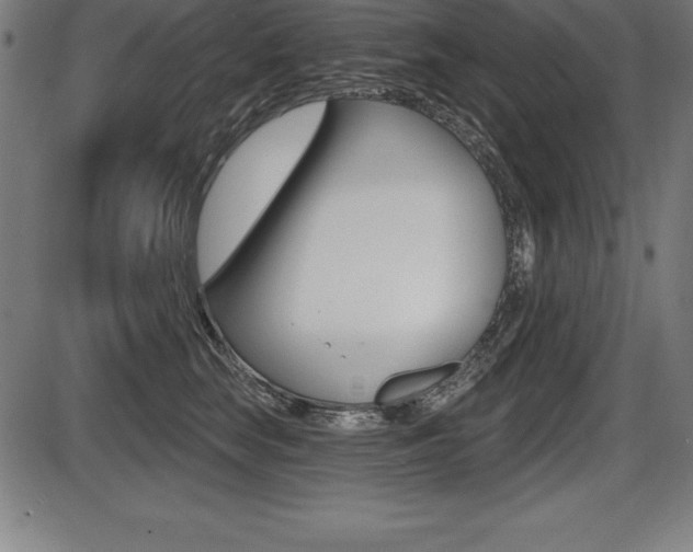 X0000087630663200705030728