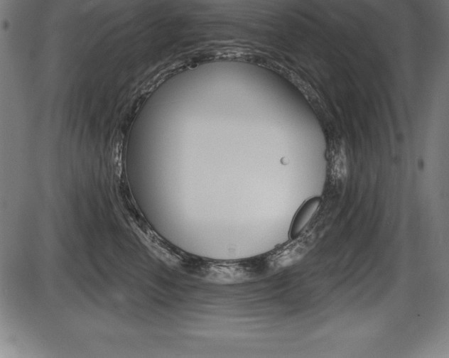 X0000087630666200705030729