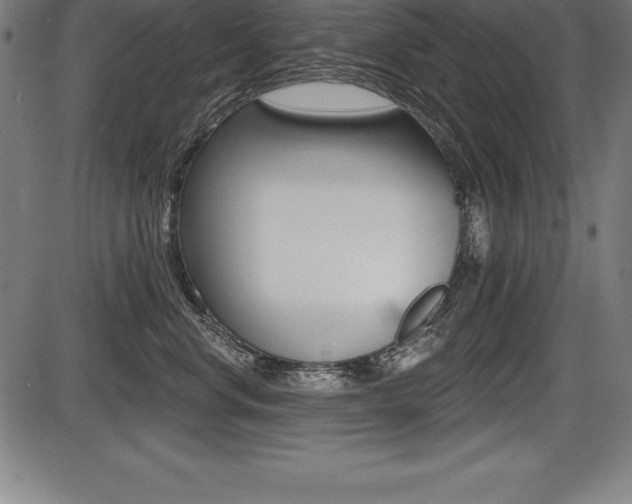 X0000087630668200705030729