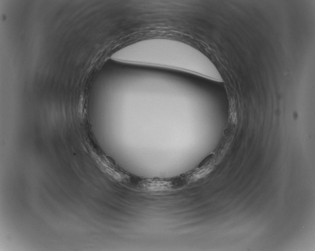 X0000087630670200705030729