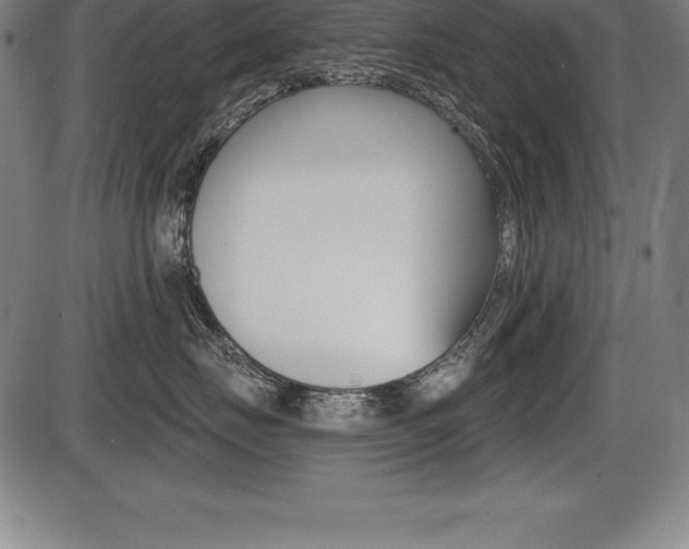 X0000087630671200705030729