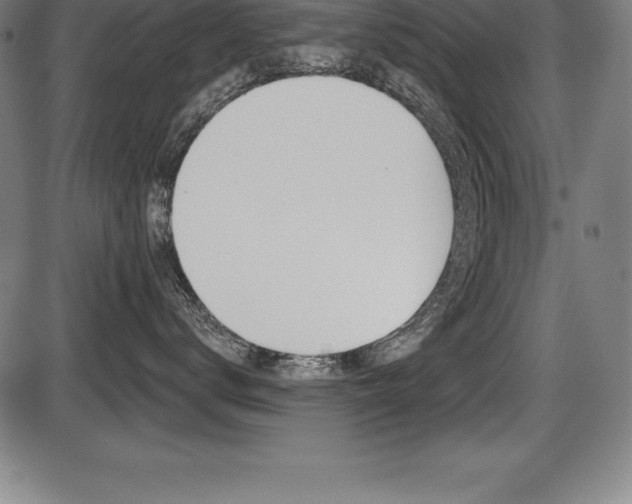 X0000087630672200705030729