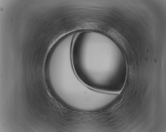 X0000087630676200705030728