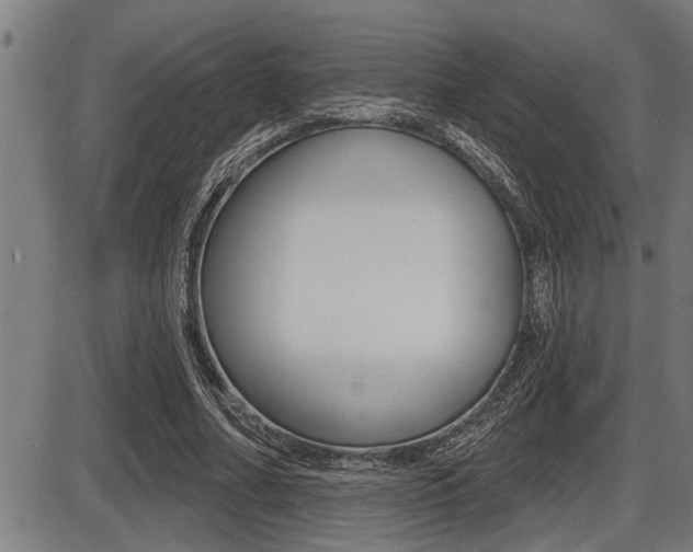 X0000087630682200705030728