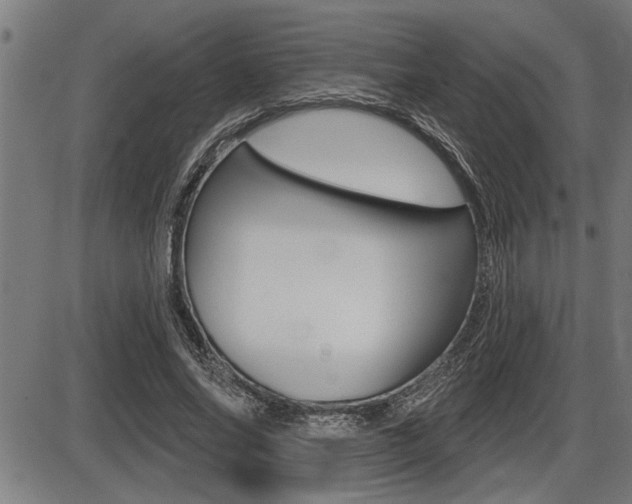 X0000087630686200705030728