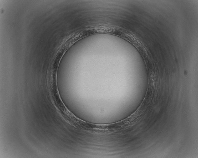 X0000087630690200705030728
