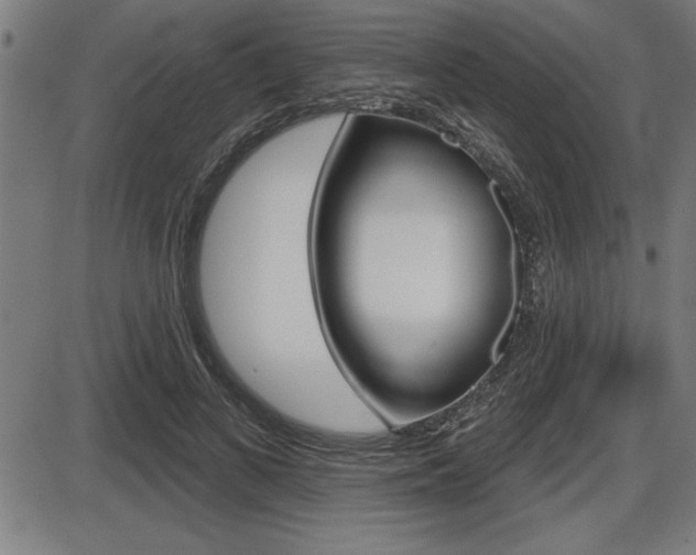 X0000087630693200705030728