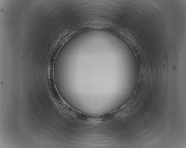 X0000087630694200705030727
